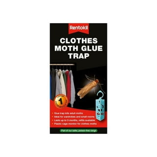 Hook Pheromones Attractant Insect Glue Trap Board Clothes Moth and