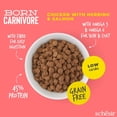 thumbnail image 4 of Schesir Dry Born Carnivore Chicken & Herring Adult Cat Food 1.25Kg, 4 of 6