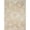 Ivory Gold, variant on Nourison Astra Machine Washable 2'2" x 8' Copper Vintage Indoor Flatweave Rug