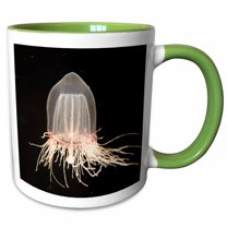 3drose, Giant Bell Jelly, Monterey Bay Aquarium, California - Us05 Jgs0136 - Jim Goldstein, 15oz Two-tone Green Mug