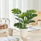 thumbnail image 5 of Artificial Potted Plants Realistic Simulation Green Plants Indoor Home Desk Bookshelf Decor Faux Greenery Decorative Houseplants for Living Room Office, 5 of 6