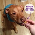 thumbnail image 4 of Wellness WellBars Dog Treats, Natural, Training Treat, Grain Free, Crunchy Yogurt, Apples & Banana (45 Ounce bag), 4 of 6