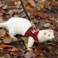 thumbnail image 4 of Hamster Vest Harness and Leash Set Outdoor Walking Cute Bow-Knot and Clear Bell Decor Chest Strap Harness for Rabbit Guinea Pig Chinchilla Ferret Squirrel, 4 of 6