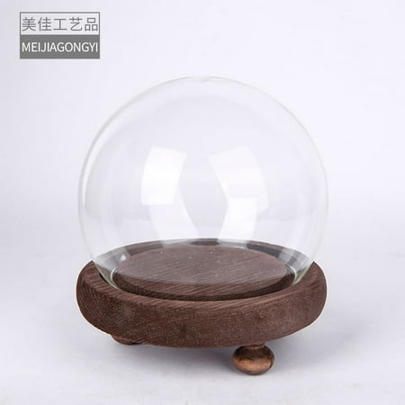 

NUOLUX Miniature Glass Display Dome Round Plant Dome Glass Display Case with Base