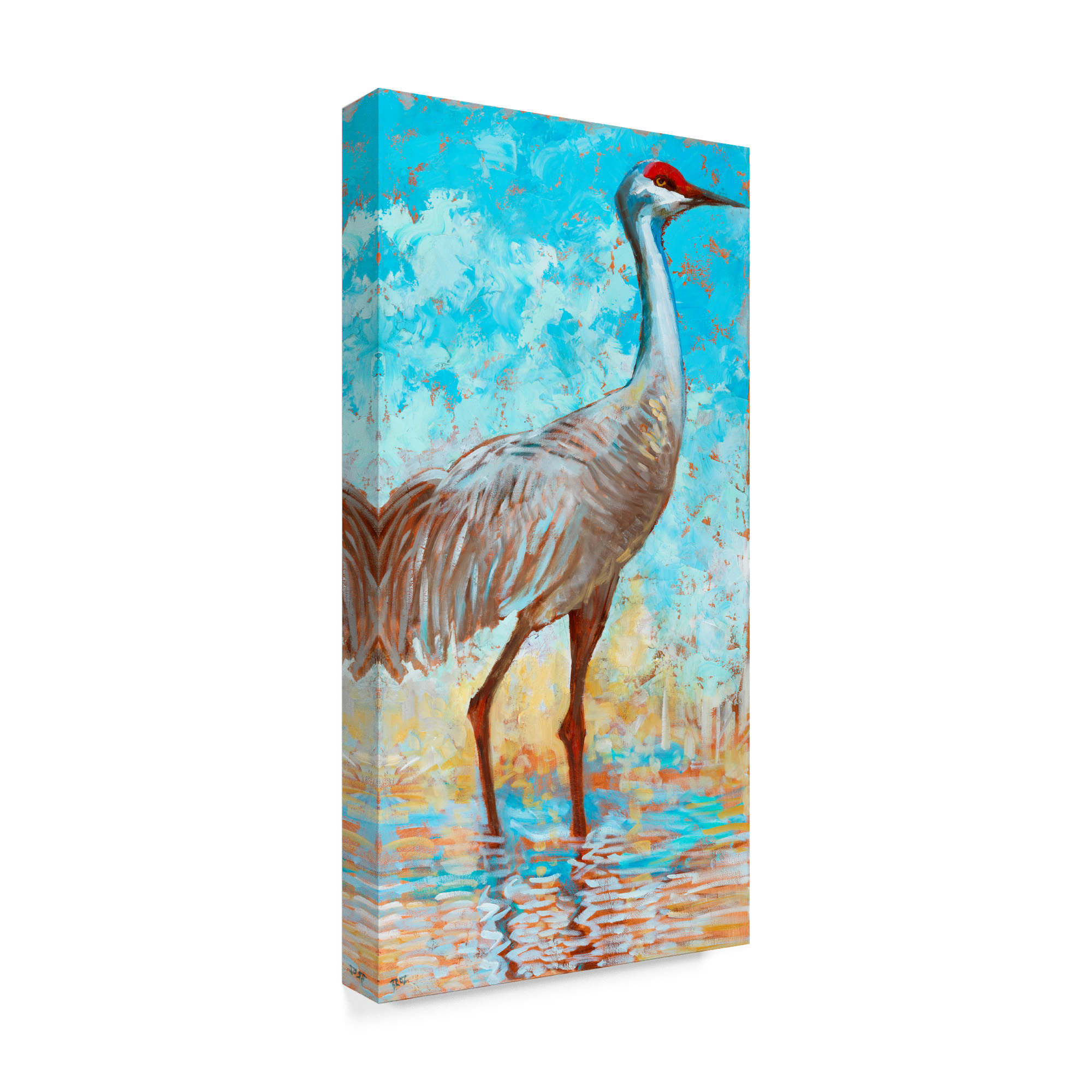 Trademark Fine Art 'Sandhill Cranes II' Canvas Art by Cecile Broz