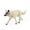 white-4A-home supplies, variant on ABPWLY Toys Simulation White Wolf Model Roaring Wolf Figure Desktop Sand Table Decoration Ornament with Realistic Details Game