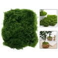 thumbnail image 5 of Artificial Moss for Indoor Outdoor Decor Available in 50g 100g 200g Sizes, 5 of 6