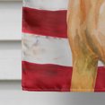 thumbnail image 4 of Carolines Treasures BB9676CHF Rhodié Ridgeback Patriotique Drapeau Toile Maison Taille, 4 of 4