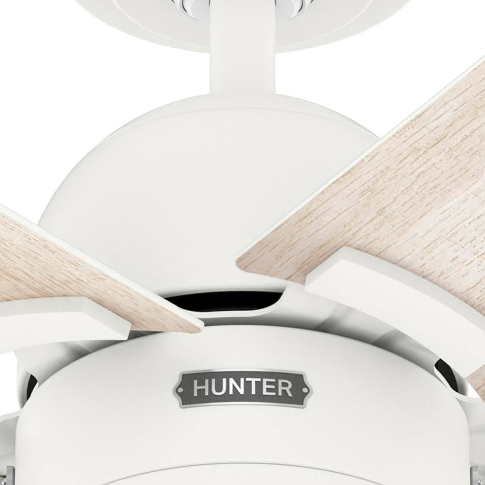 Restored Hunter Fan 52 Inch Matte White Indoor Ceiling Fan with Light and Pull Chain, Reversible Motor and 5 Blades for Living Room, Bedroom, Office, Laundry Room (Refurbished)