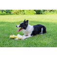 thumbnail image 3 of Juguete para perros chirriantes, mordedores para cachorros, juguetes interactivos para perros al aire libre, juguete de peluche para perros pequeños y medianos - oso amarillo TUNC Sencillez, 3 of 4