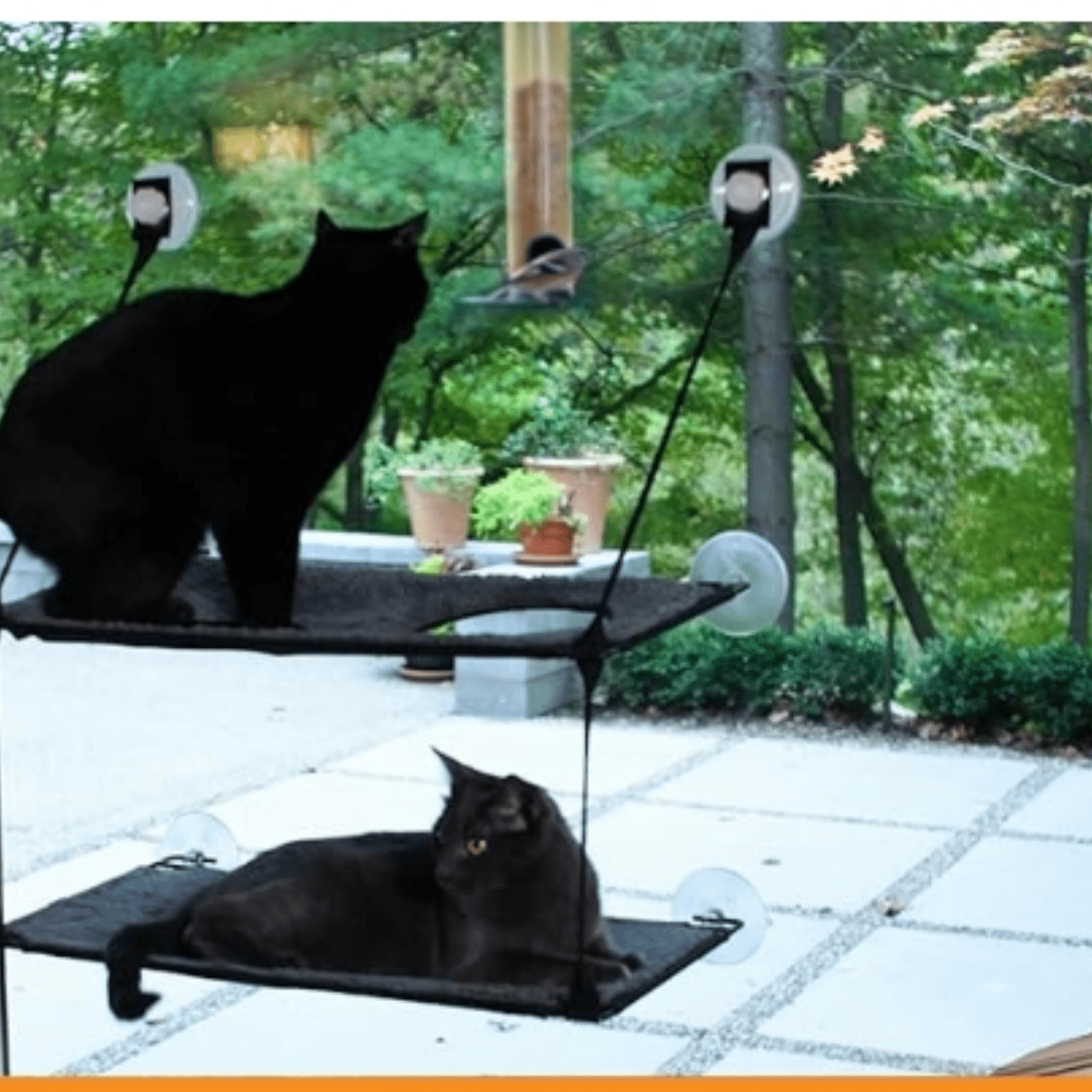 EZ Mount Double Stack Cat Window Perch for Large Cats, Sturdy Window Hammock Bed, Steel Frame, Sturdy Suction Cups, 2 Washable Shelf Covers, Foldable - Fits 27"W X 31"H Glass Spaces