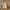 Beige, variant on Abomasnow Women's Nightgown Loose Fit Spaghetti Straps Ruffle Hem Cami Sleepwear Comfy Sleeveless Backless Thin Pajama Suit M-2XL