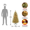 thumbnail image 4 of National Tree Company 4.5 ft. Pre-Lit Artificial Christmas Tree, Green, Arcadia Pine Cashmere, 100 Clear Lights, Includes Stand, 4 of 5