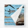 thumbnail image 6 of Kainsy Shark Blanket for Boys, Soft Flannel Shark Alphabet Throw Blanket for Boys Kids Girls Adult, Lightweight Shark Gift for Shark Lovers, All Season(50"x60"), 6 of 8