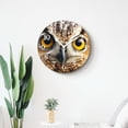 thumbnail image 4 of 12 Inch Wall Clock Battery Operated Silent Clock Decorative for Office, Kitchen, Outdoor, Living Room，Lovely Animal Funny Owl Look You Elegant, 4 of 4