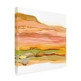 thumbnail image 2 of Chris Paschke 'Desertscape III' Canvas Art, 2 of 4