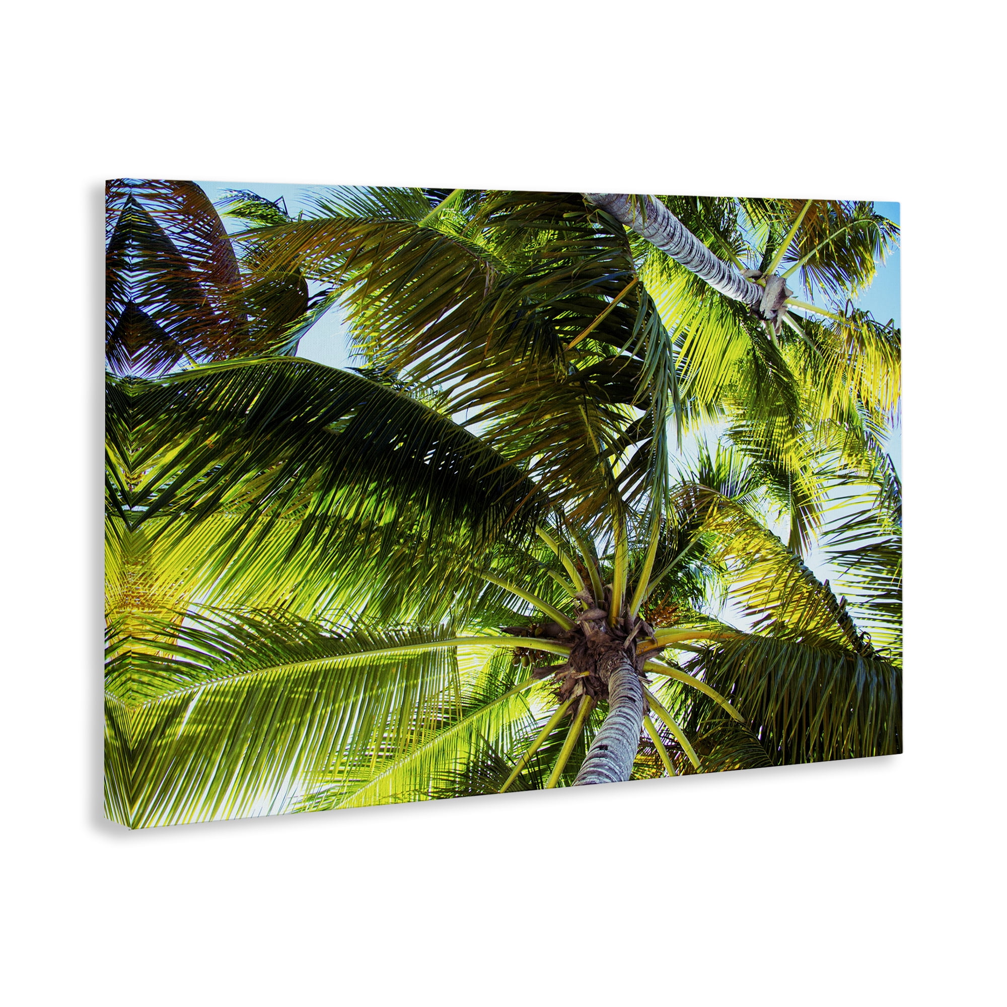 Stupell Industries Swaying Palm Leaves Botanical & Floral Photography Gallery Wrapped Canvas Art Print Wall Art, 45 x 30