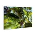 thumbnail image 4 of Stupell Industries Swaying Palm Leaves Botanical & Floral Photography Gallery Wrapped Canvas Art Print Wall Art, 45 x 30, 4 of 8
