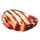 thumbnail image 4 of Almohada de peluche con forma de chuleta de cerdo asada, ideal para decorar el hogar., 4 of 14