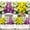 2Purple 2Yellow 2White, variant on 6PCS Artificial Daisy Flowers, Fake Silk Daisy UV Resistant Faux Plastic Greenery Shrubs Plants for Indoor Outdoor Hanging Planter Wedding Porch Window Box Home Garden Décor
