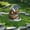 A, variant on Flower Pot Standing Card Garden Wooden Stake Family Courtyard Garden Decorative Ground Plug Of The Day Gifts For Womem/Men