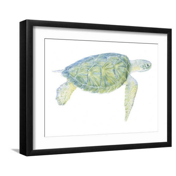 Art.com Tranquil Sea Turtle I Art Print by Megan Meagher, Black Frame Wall Art, 21" x 17"