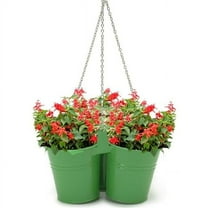 Houston International Trading Enameled Galvanized Hanging 3 Planter Unit for 6.5 in. Plants, Sage