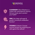 thumbnail image 2 of Havasu Nutrition Elderberry Gummies for Kids with Zinc and Vitamin C for Immune Support, Berry Flavor, 60 Count, 2 of 8