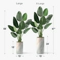 thumbnail image 2 of Artificial Tree in Modern Granite Effect Planter, Fake Bird of Paradise Silk Tree for Indoor and Outdoor Home Decoration - 58" Overall Tall (Plant Pot Plus Tree), 2 of 5
