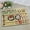 Cat Rules, variant on Dog Food Mats for Floors, Absorbent and Quick-Drying Pet Cat Food Mat,Anti-Fouling and Easy-to-Clean Pet Feeding Mat,Dog Bowl Mat for Messy Drinking Water Bowls.17 x27,Cat Rules