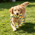 thumbnail image 5 of Dog Rope Chew Toy Tough Fiber for Teeth Cleaning And Teething Interactive Tug Toy for Medium And Large Dogs, 5 of 6
