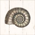 thumbnail image 2 of Gango Home Decor Coastal Shell Sketches Shiplap I & II by Wild Apple Portfolio (Ready to Hang); Two 12x12in Distressed Framed Prints, 2 of 5