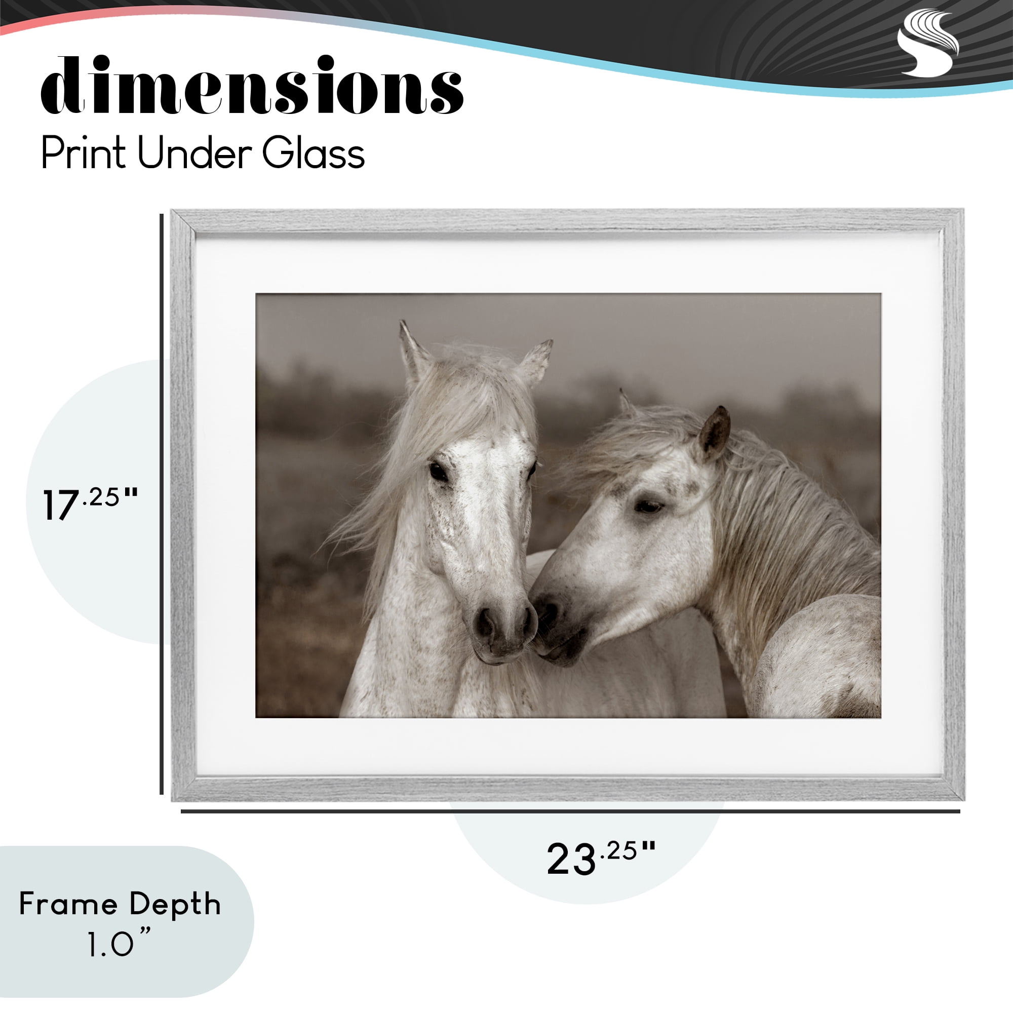 Stupell Industries Gentle Companionship Horses Gray Framed Print Under Glass, design by Danita Delimont