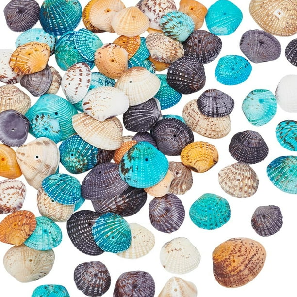 50-56 cuentas de concha de mar natural teñidas, perforadas, pequeñas conchas de vieira, conchas de playa oceánica, dijes artesanales
