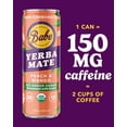 thumbnail image 2 of Babe Organic Yerba Mate Energy Drinks | 150mg Plant-Based Caffeine | Natural Yerba Mate Tea with No Crash, No Jitters (Peach & Mango Zero Sugar), 2 of 6