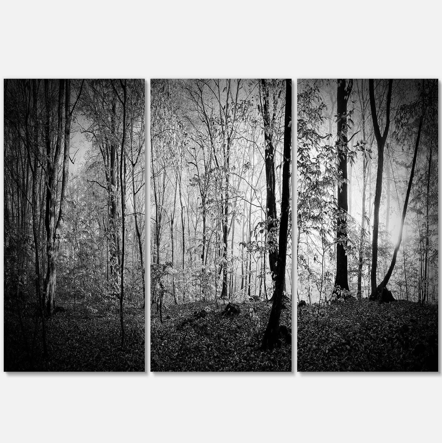 Designart Beautiful Forest Morning Panorama Canvas Wall Art