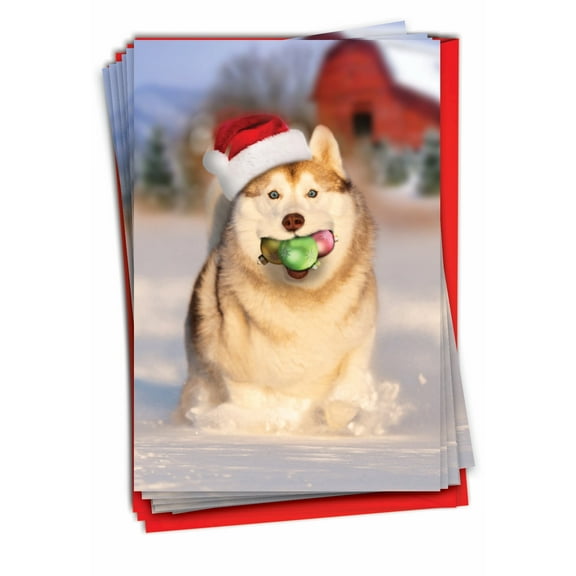 12 Christmas Greeting Cards (1 Design, 12 Cards) - Dog Mouth C3380XSG-B12x1