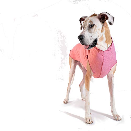 Pet Anxiety Relief Gold Paw Sun Shield Dog Tee – T-Shirt for Canines – UV Protection All Season Alopecia Machine Washable Wound Care – Prevents Foxtails 