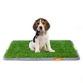 thumbnail image 1 of PET TO BED Tapete de Entranamiento para Perro Doggie Grass con Regilla Anti Humedad Fácil Lavado Baño para Mascotas, 1 of 5