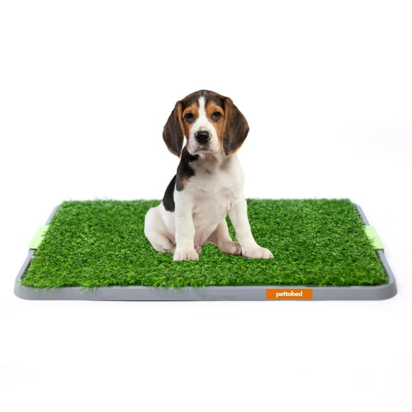 PET TO BED Tapete de Entranamiento para Perro Doggie Grass con Regilla Anti Humedad Fácil Lavado Baño para Mascotas