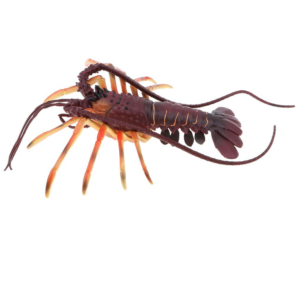 Details about   Plastic  Animal Model Figurine Kids Toy Gift Home Decor Spiny Lobsters 