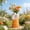 Orange, variant on Cat Paw Resin Vase 5.63x2.76 Inch, Cute Shaped Mini Flower Vase for Living Room, Tabletop Decor for Office Shelf