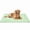 Green, variant on Kobolaf Dog Cooling Mat Original Self Activating Pet Cool Pad for Large Medium Small Breeds Chew Resistant Washable Waterproof Foam Mattress Lightweight Travel Crate Bed for Summer Heat Relief