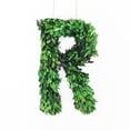 thumbnail image 1 of Modern Home 12" Real Preserved Boxwood Monogram Wreath Letters - R, 1 of 2
