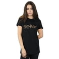 thumbnail image 2 of Harry Potter Womens Full Colour Logo Cotton Boyfriend T-Shirt, 2 of 3