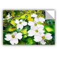 thumbnail image 2 of ArtAppealz Derek Mccrea "Dogwood Tree Flowers" Removable Wall Art, 2 of 2