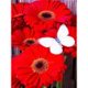 thumbnail image 3 of Cuadros Decorativos Pintura de diamante de taladro redondo completo Dibujo de mariposa roja Ndcxsfigh Nuevos Originales, 3 of 9