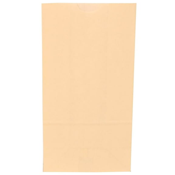 JAM Paper Kraft Lunch Bags, 5 x 9.75 x 3, Ivory, 500/Box, Medium