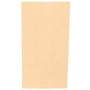 JAM Paper Kraft Lunch Bags, 5 x 9.75 x 3, Ivory, 500/Box, Medium