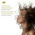thumbnail image 4 of Dove Dry Shampoo Invigorating & Purify 100% Natural Cassava Starch, 142 g, 4 of 6